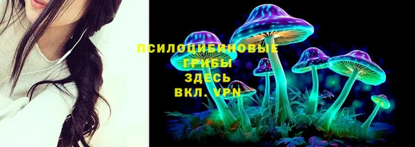 индика Аркадак