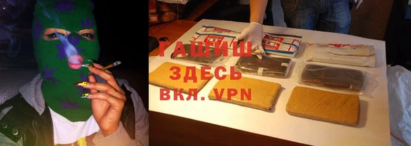 индика Аркадак