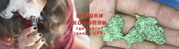 индика Аркадак