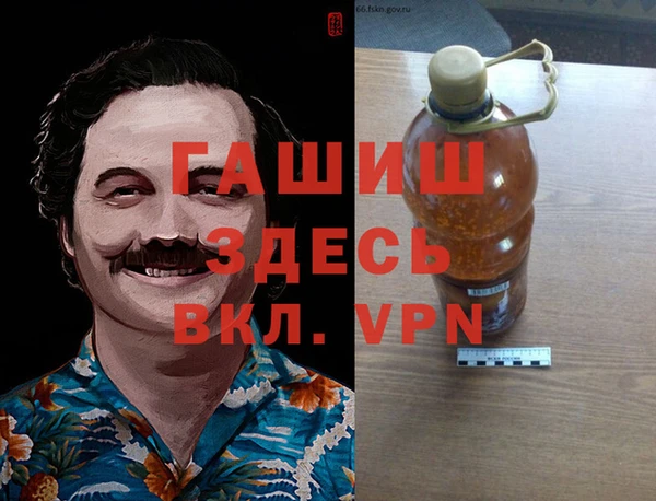 индика Аркадак
