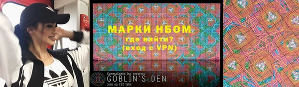 индика Аркадак