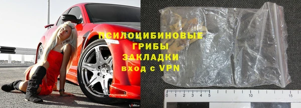 индика Аркадак