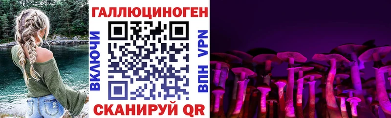 Псилоцибиновые грибы MAGIC MUSHROOMS  где купить наркоту  ОМГ ОМГ как войти  Туринск 